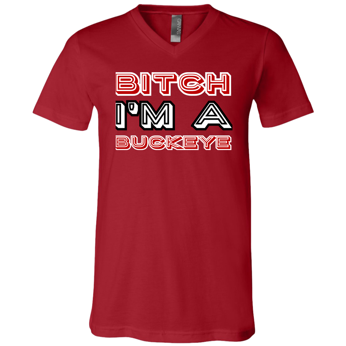 BITCH Ohio State Unisex Jersey SS V-Neck T-Shirt