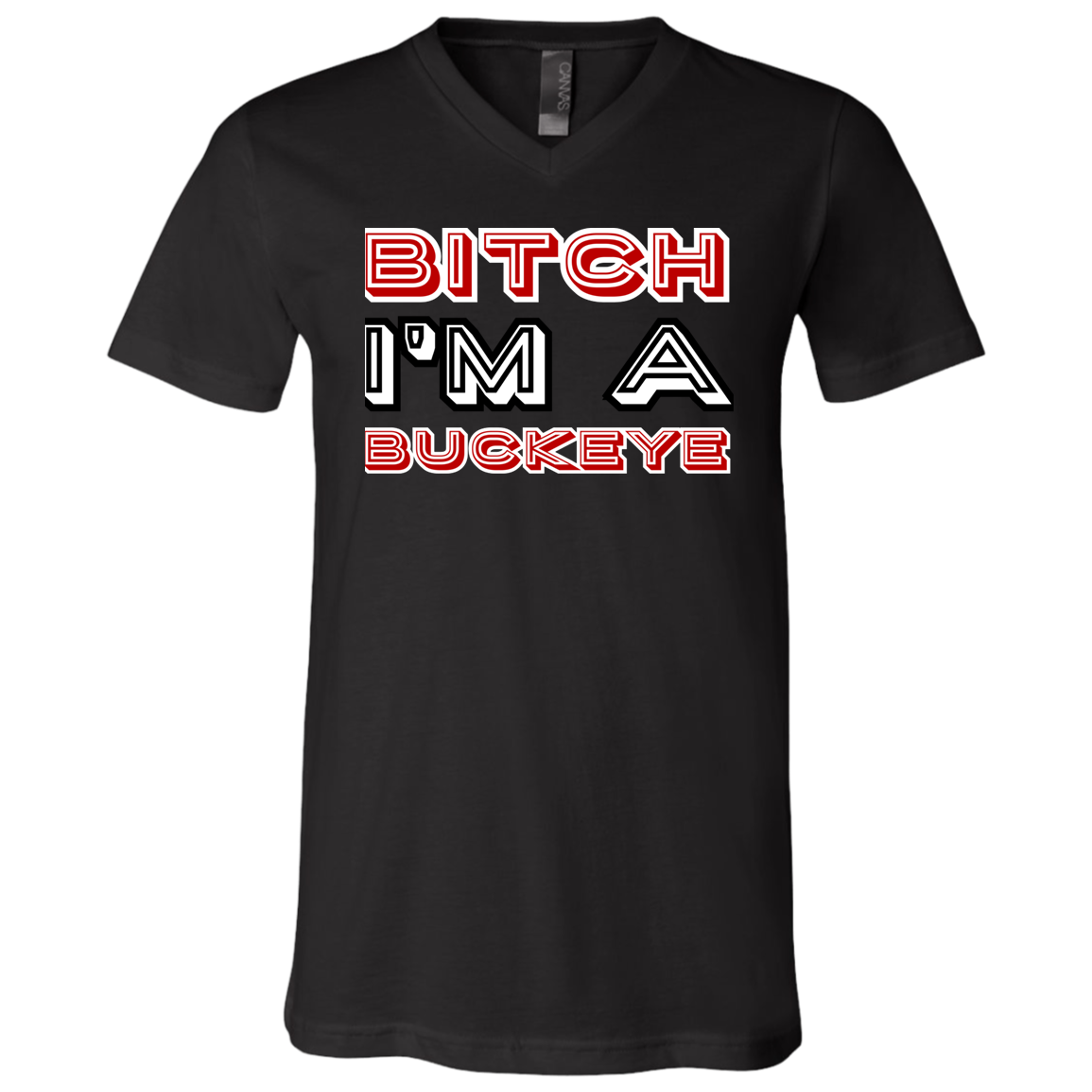 BITCH Ohio State Unisex Jersey SS V-Neck T-Shirt