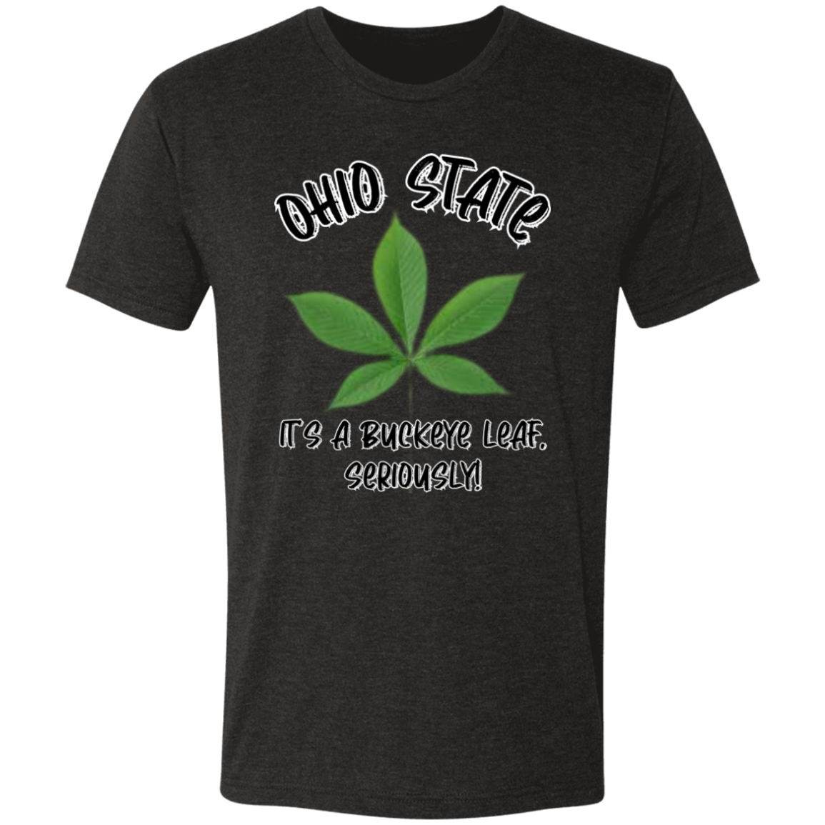 SERIOUSLY Ohio State Men's Triblend T-Shirt