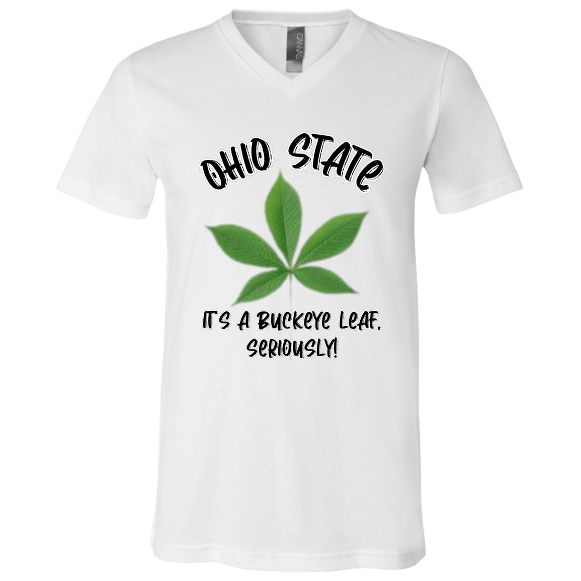 SERIOUSLY Ohio State Unisex Jersey SS V-Neck T-Shirt