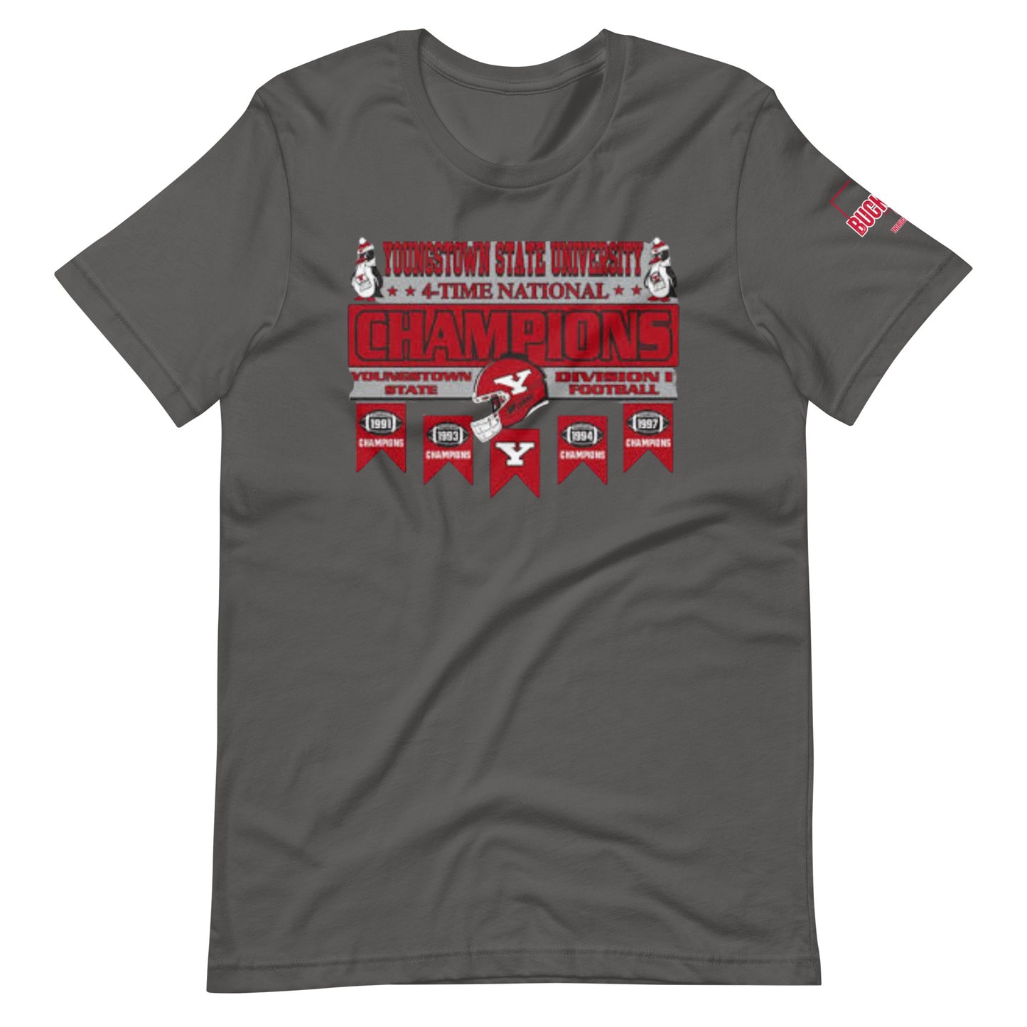 YOUNGSTOWN STATE 4X Unisex Graphic T-shirt